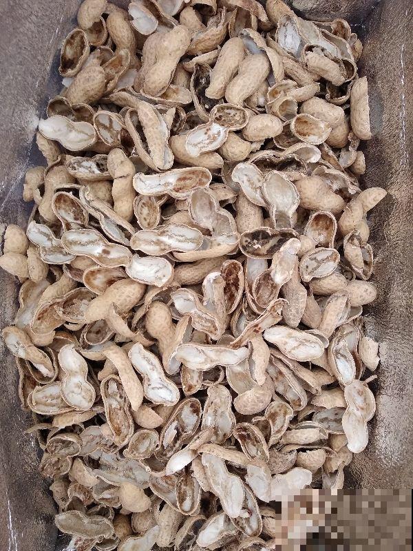 这些常见物，捡几个塞进花盆，花草从此不烂根！