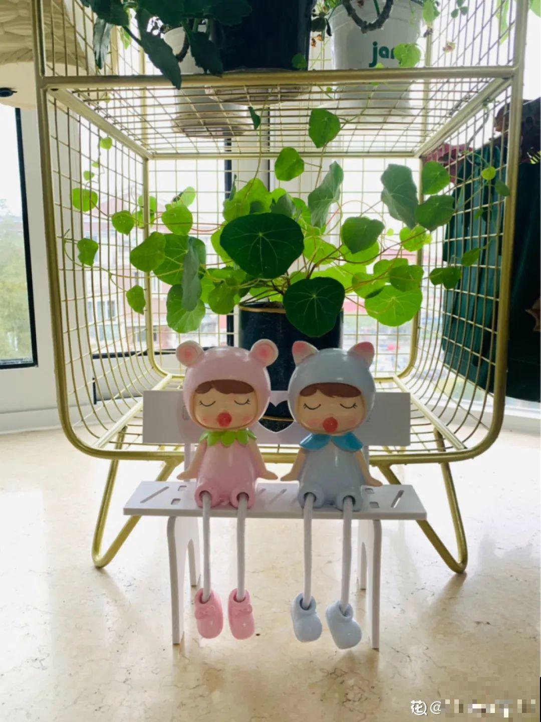 阳台虽小，种点花草，也能变成小花园