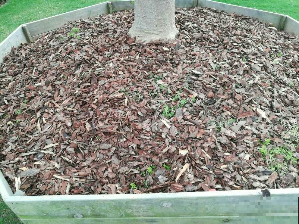 春天的野外,真是惊喜多多,花和土壤一样都不少 春天的野外,真是惊喜多多,花和土壤一样都不少