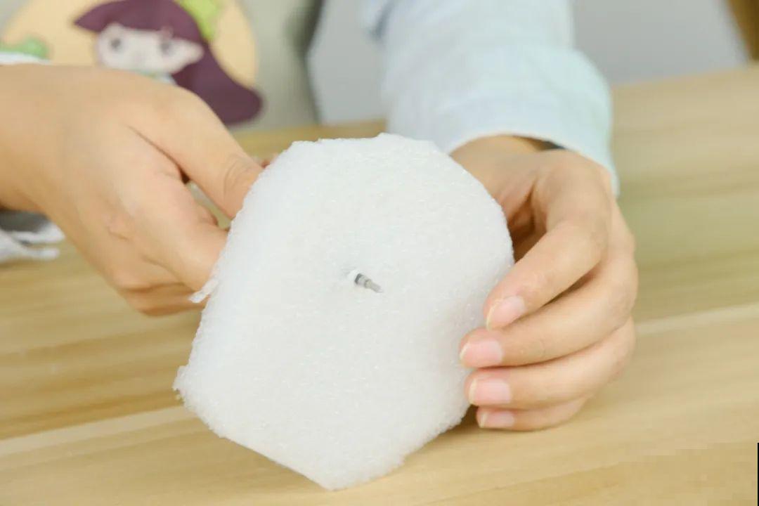 11种常见花，现在扦插，成活率特高