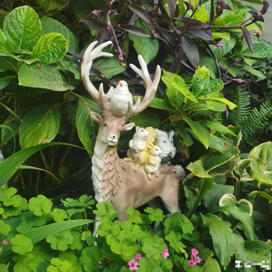 春天来了，有个院子养点花，简直太幸福