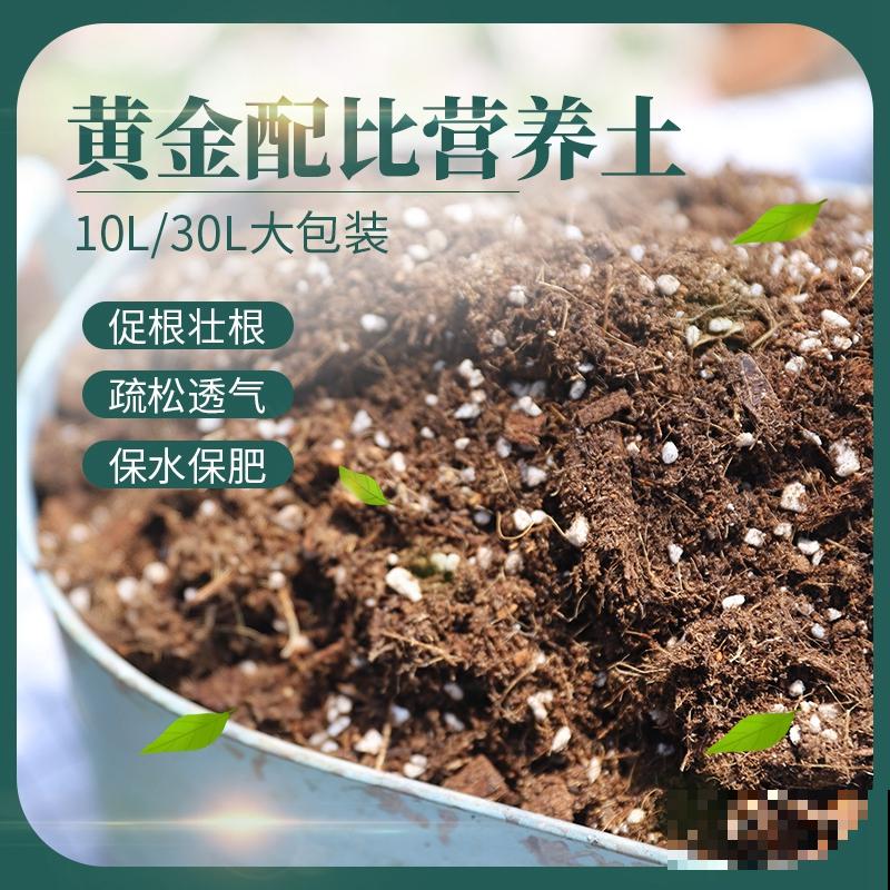 开春在家种点菜，长势超快，省下买菜钱