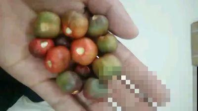 春天最佳繁殖季，扦插播种分株压条，成活率特高