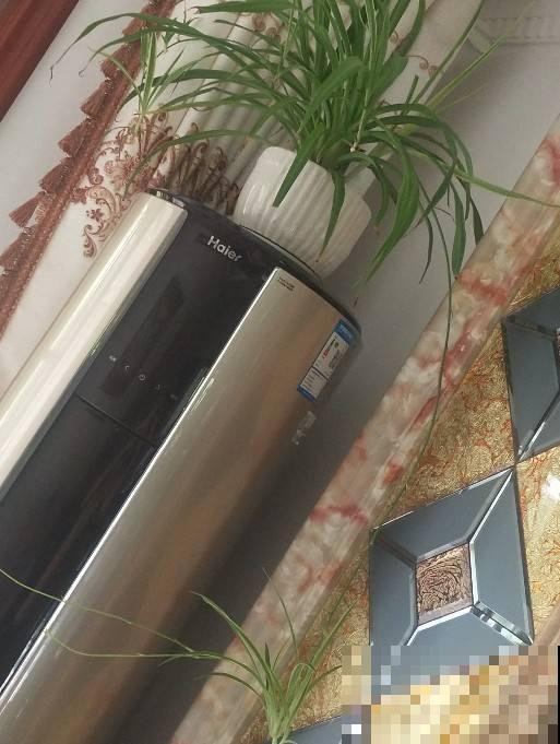 在家养花，一定要注意养花位置，5个地方不能养