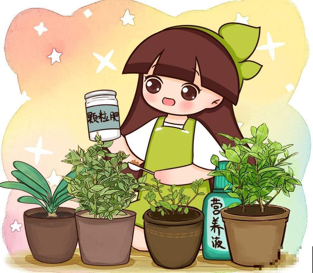 教你施肥的原则和方法，肥料给对了，开花也就不愁了！