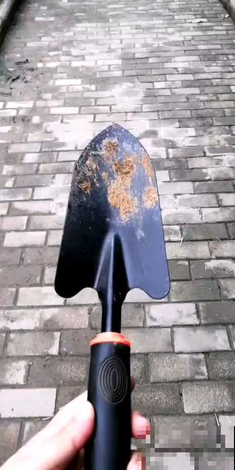 养花必备5件“家伙事儿”，个头小却实在好用，你家有几个？