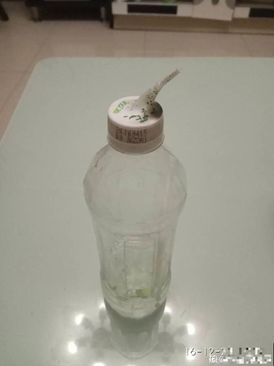 养多肉不用买花盆,只需一些水泥,自己就能DIY做花盆 养多肉不用买花盆,只需一些水泥,自己就能DIY做花盆