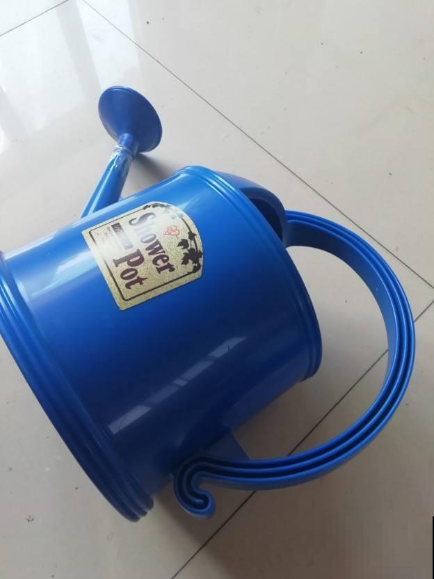 养花必备5件“家伙事儿”，个头小却实在好用，你家有几个？