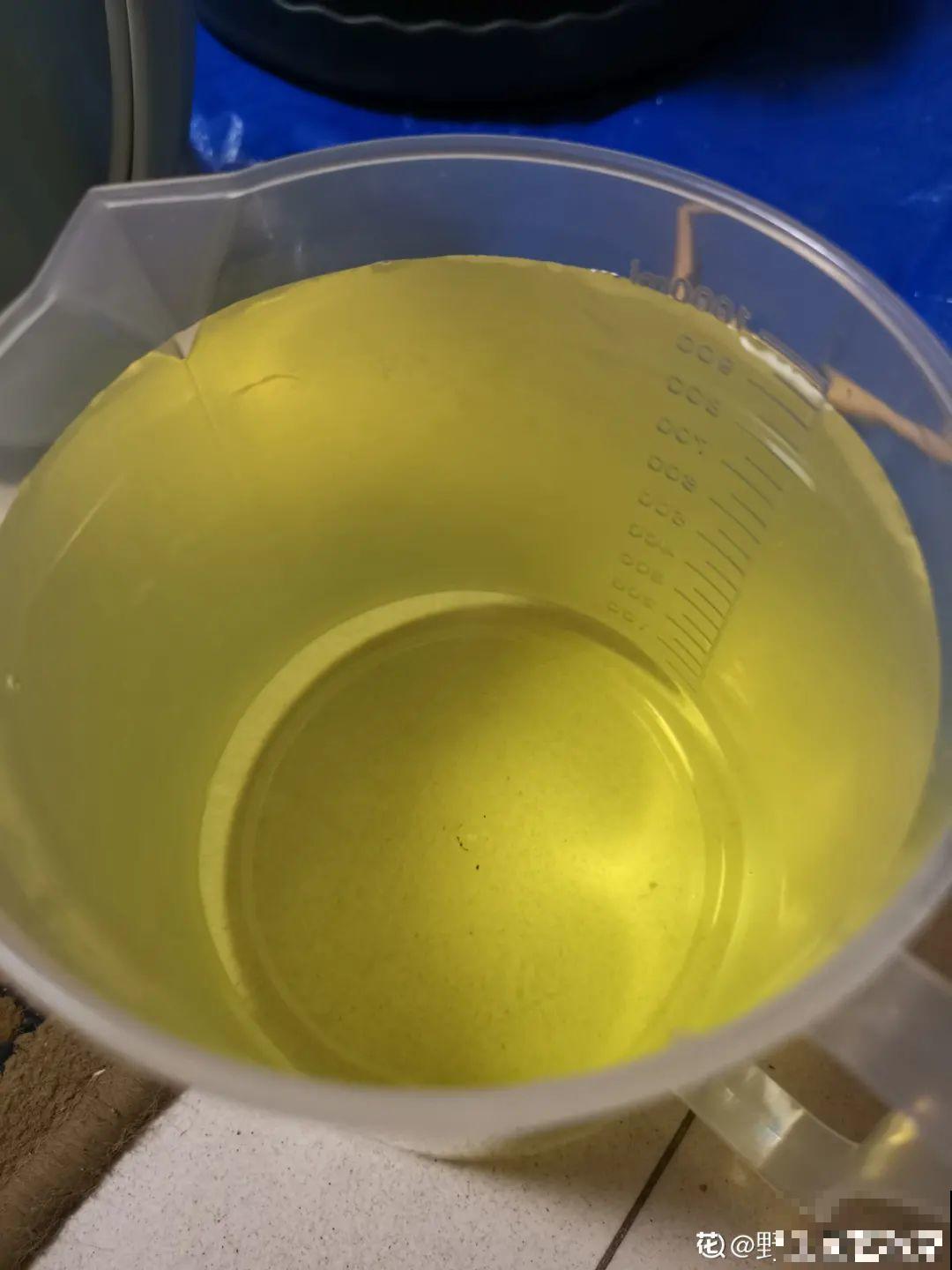 给花浇水掺点白醋，植物根比萝卜还粗，健壮不黄叶