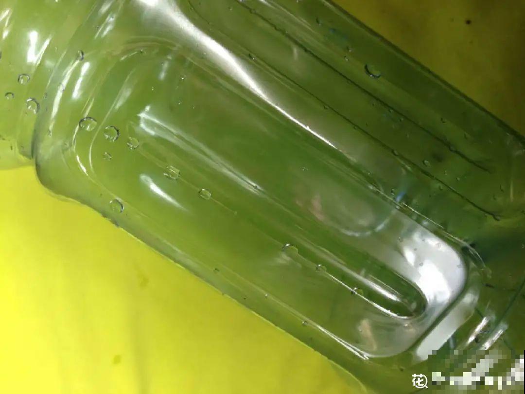 养多肉不用买花盆,只需一些水泥,自己就能DIY做花盆 养多肉不用买花盆,只需一些水泥,自己就能DIY做花盆