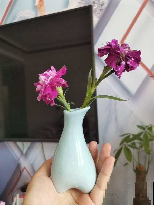 邻居的院子里放了4样东西，颜值提升不少，还特实用