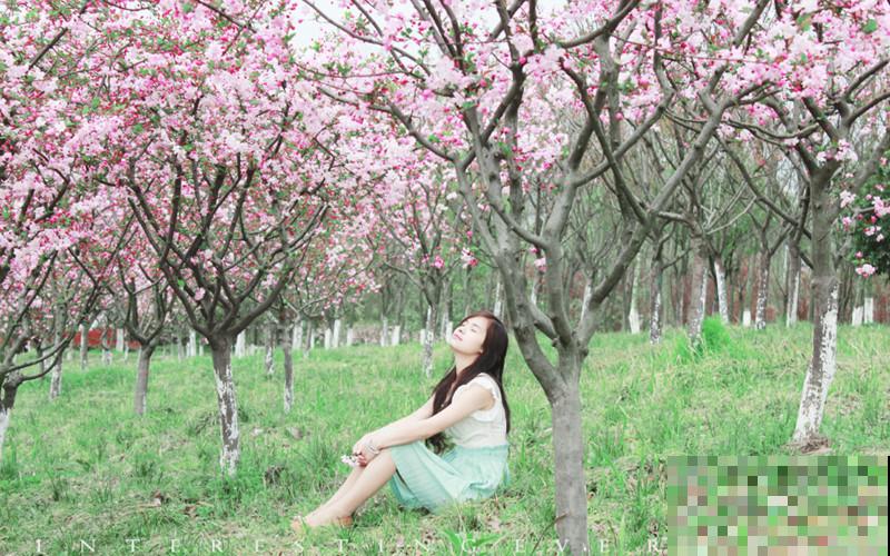 那些花型标准的“五瓣花”，傻傻分不清，记住要点辨认很容易