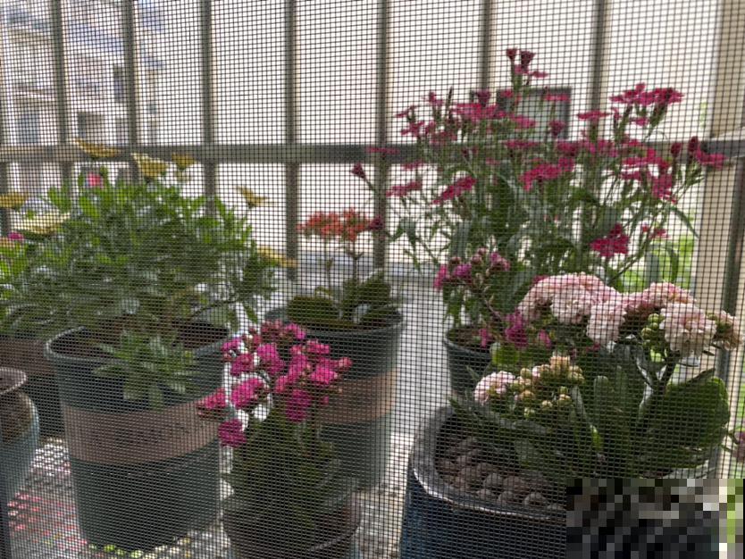 6个除湿小妙招,轻松解决潮湿问 6个除湿小妙招,轻松解决潮湿问