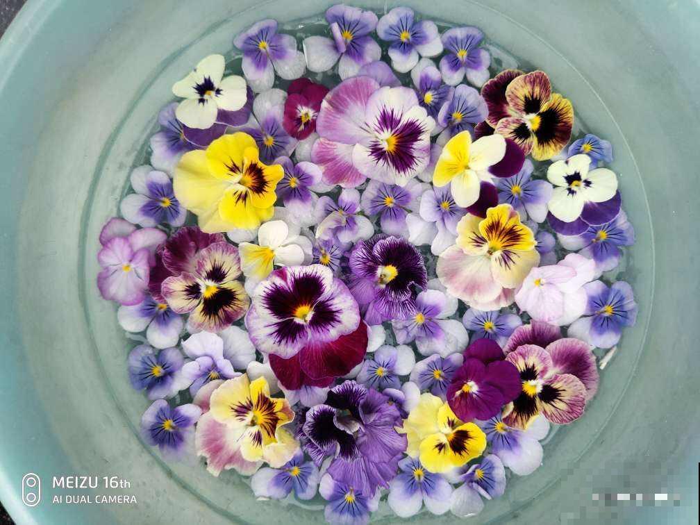 夏天养花,换个清凉方式,来点不一样的感觉 夏天养花,换个清凉方式,来点不一样的感觉