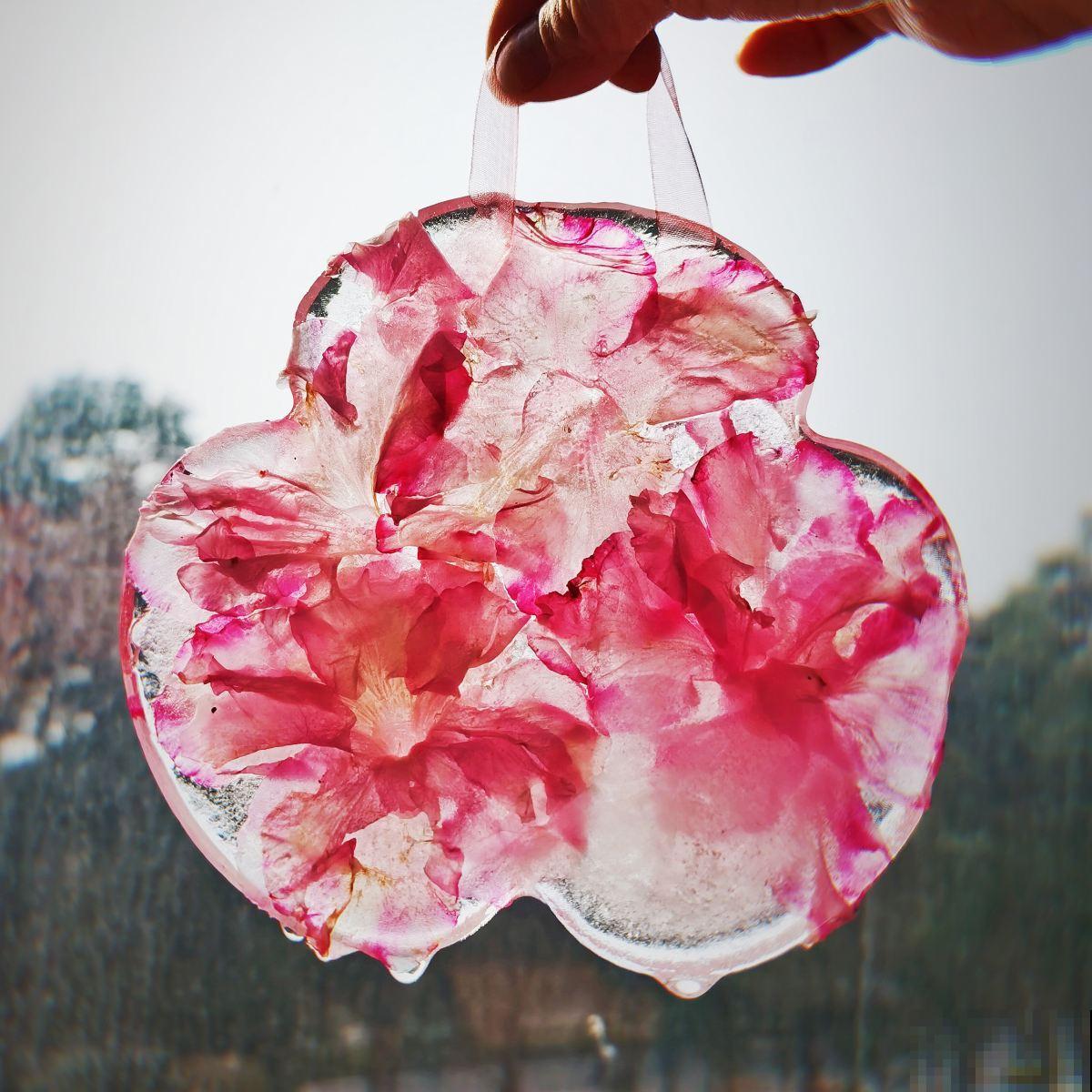 夏天养花,换个清凉方式,来点不一样的感觉 夏天养花,换个清凉方式,来点不一样的感觉