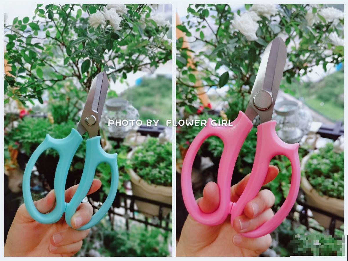 养花必备5件“家伙事儿”，个头小却实在好用，你家有几个？