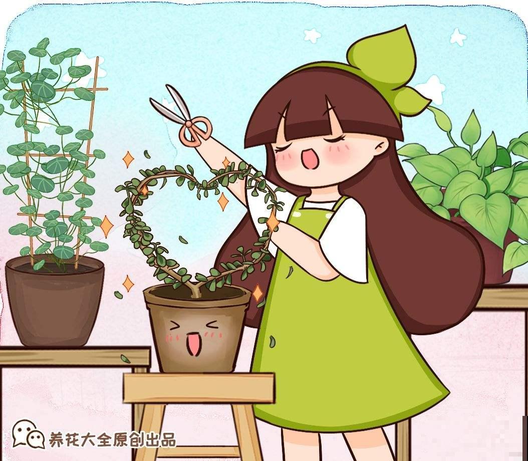 想要山乌龟迅速爬满墙，一定要掌握的4个小技巧，观赏性非常高！