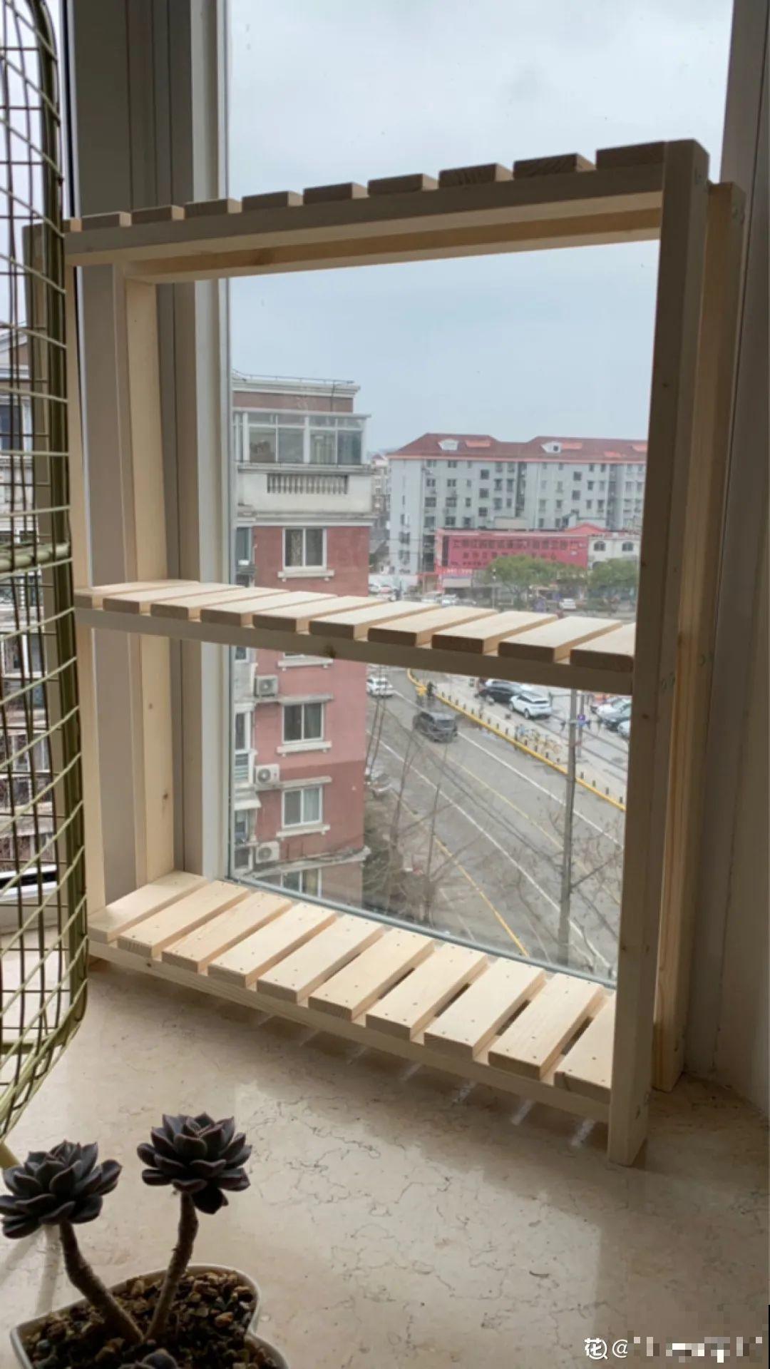 阳台虽小，种点花草，也能变成小花园