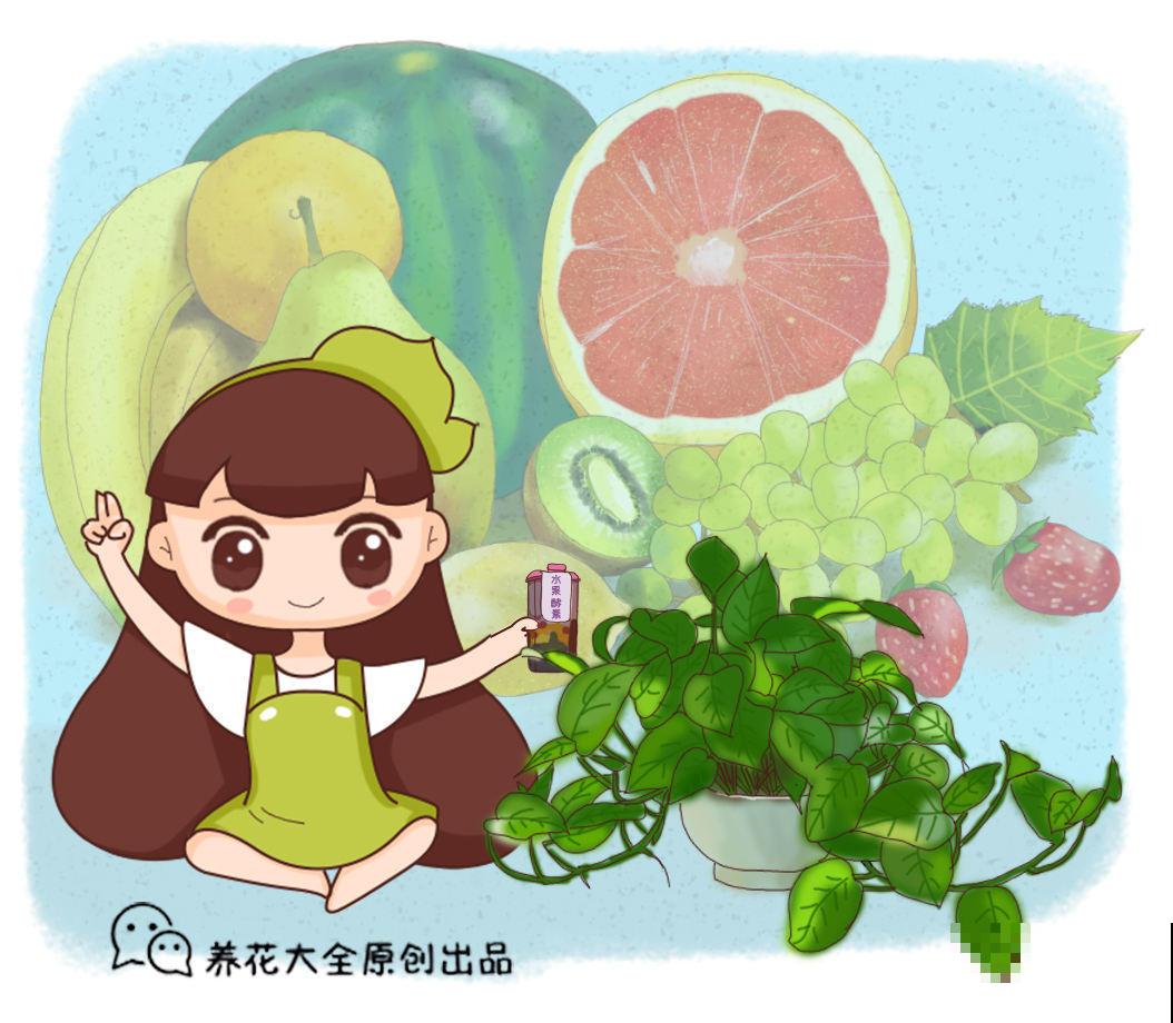 教你柠檬树的养殖方法，简单易活，在家就能“恰柠檬”！