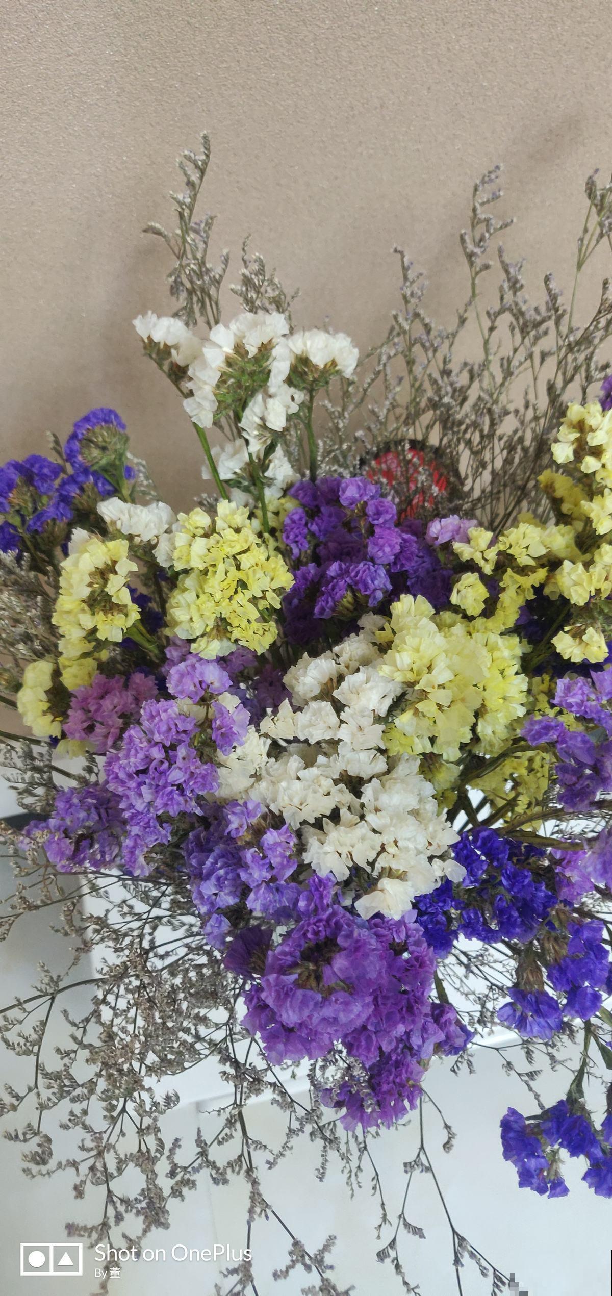 夏天养花,换个清凉方式,来点不一样的感觉 夏天养花,换个清凉方式,来点不一样的感觉