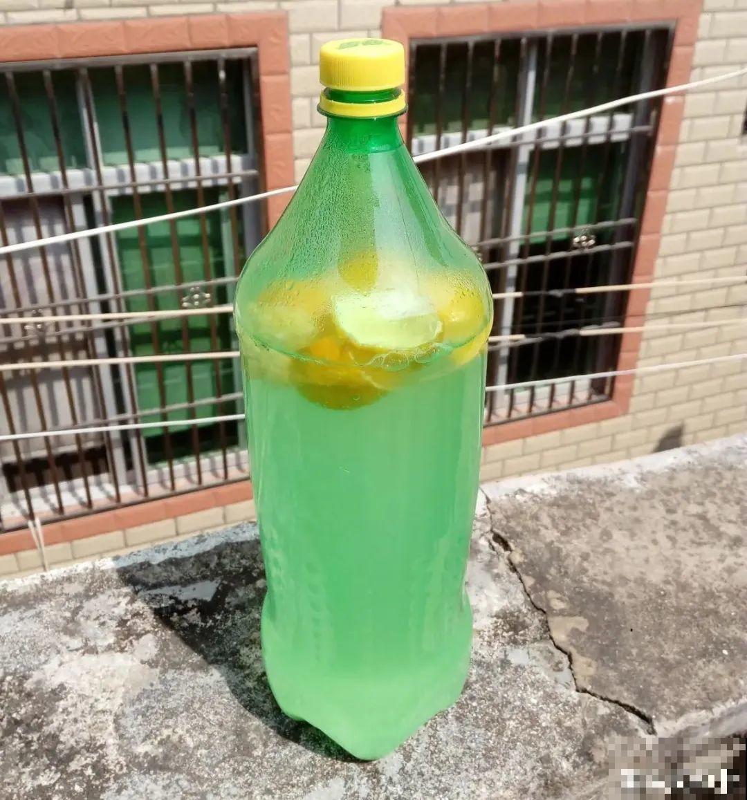 给花浇水掺点白醋，植物根比萝卜还粗，健壮不黄叶