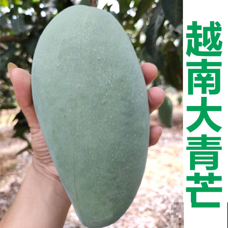 常见的水果树开花了，你见过几种？