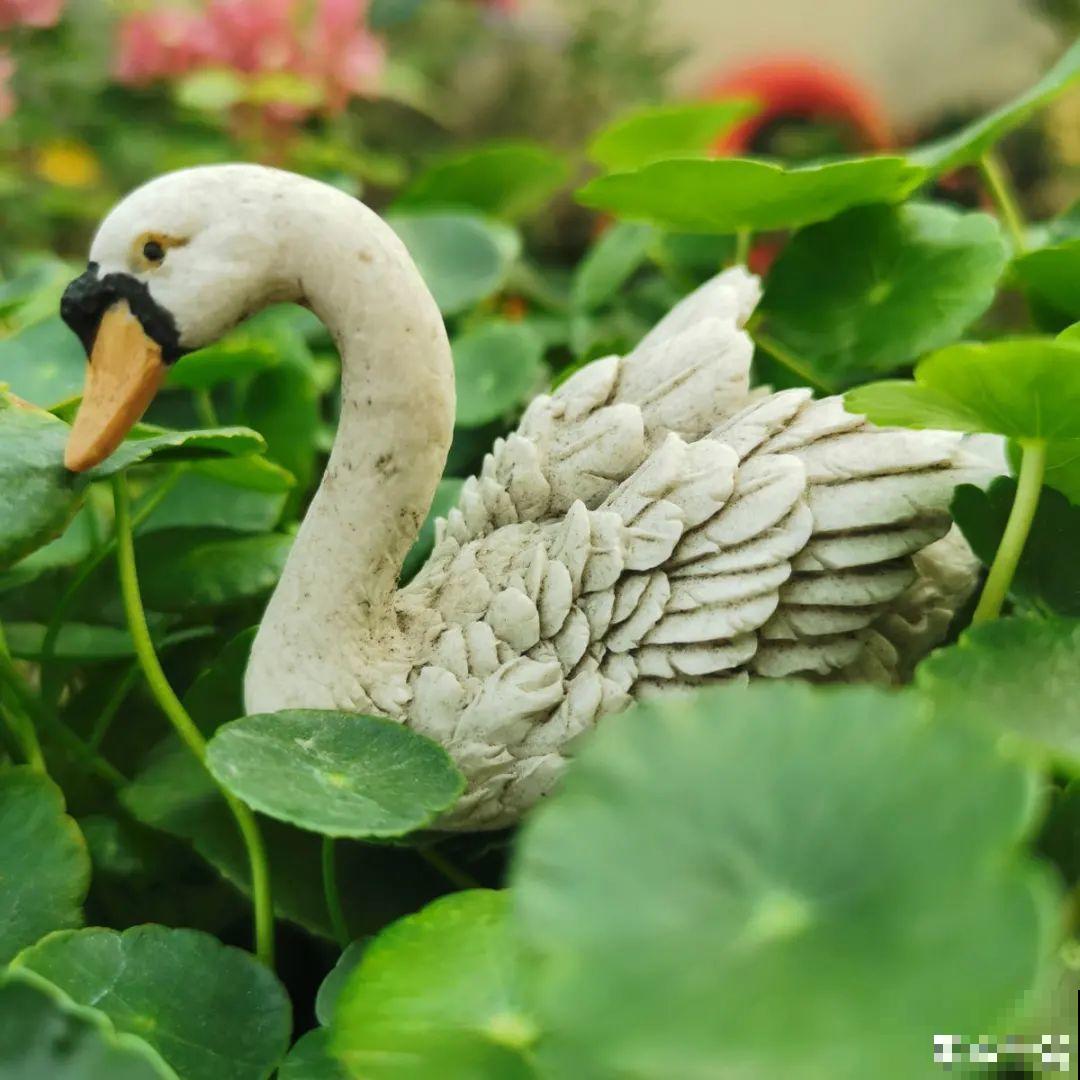 春天来了，有个院子养点花，简直太幸福