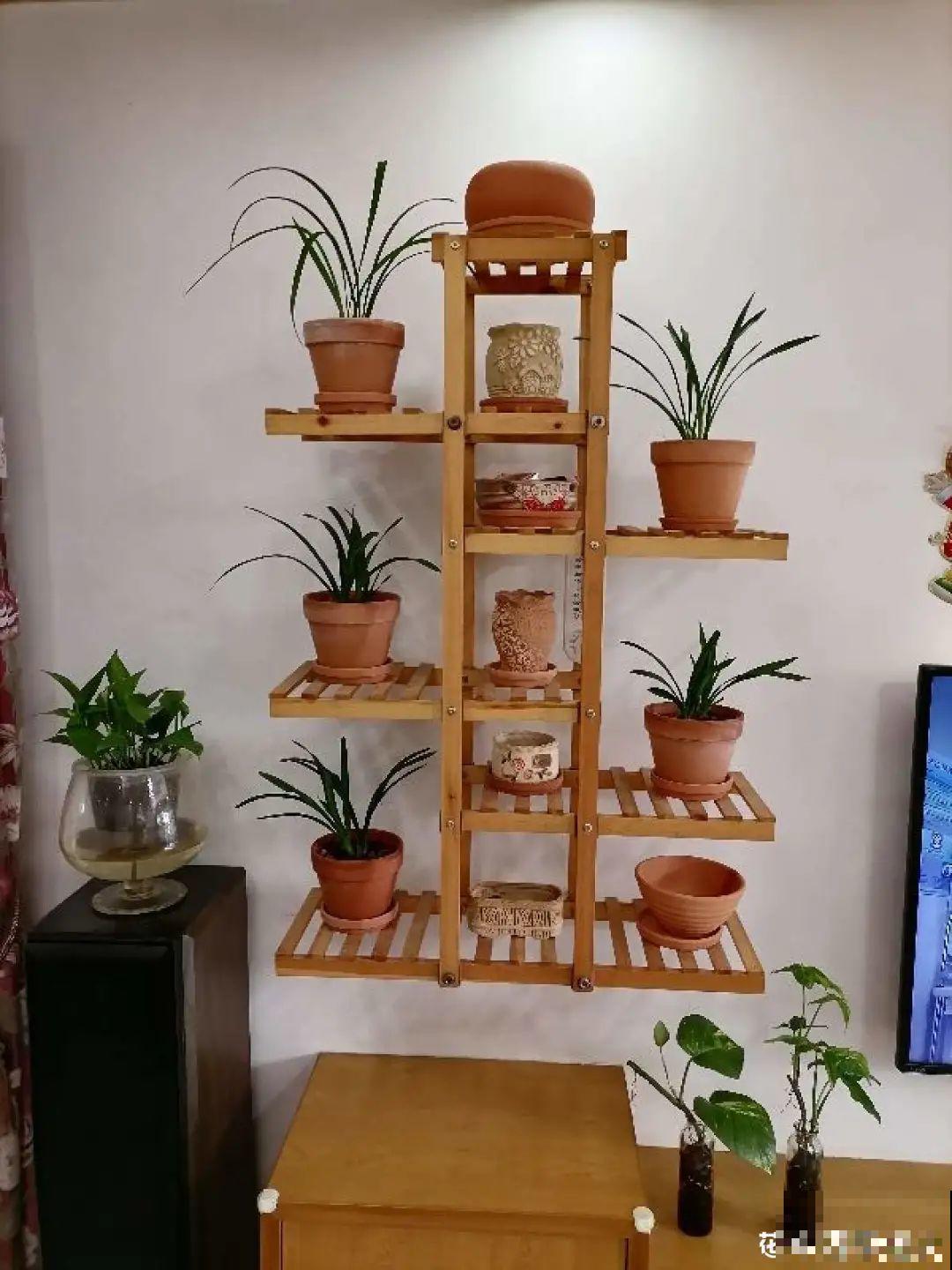 养多肉不用买花盆,只需一些水泥,自己就能DIY做花盆 养多肉不用买花盆,只需一些水泥,自己就能DIY做花盆