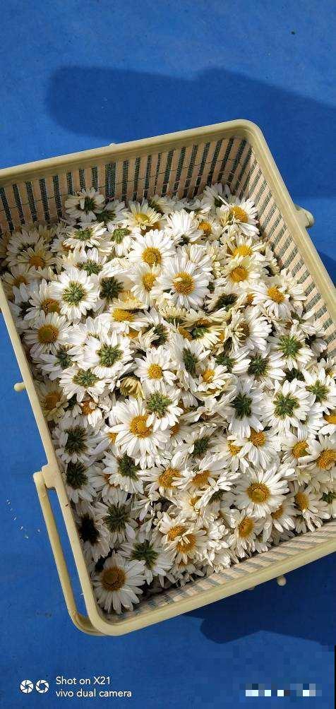 春季吃东西要注意,常见的酸性食物有两种,要少吃 春季吃东西要注意,常见的酸性食物有两种,要少吃