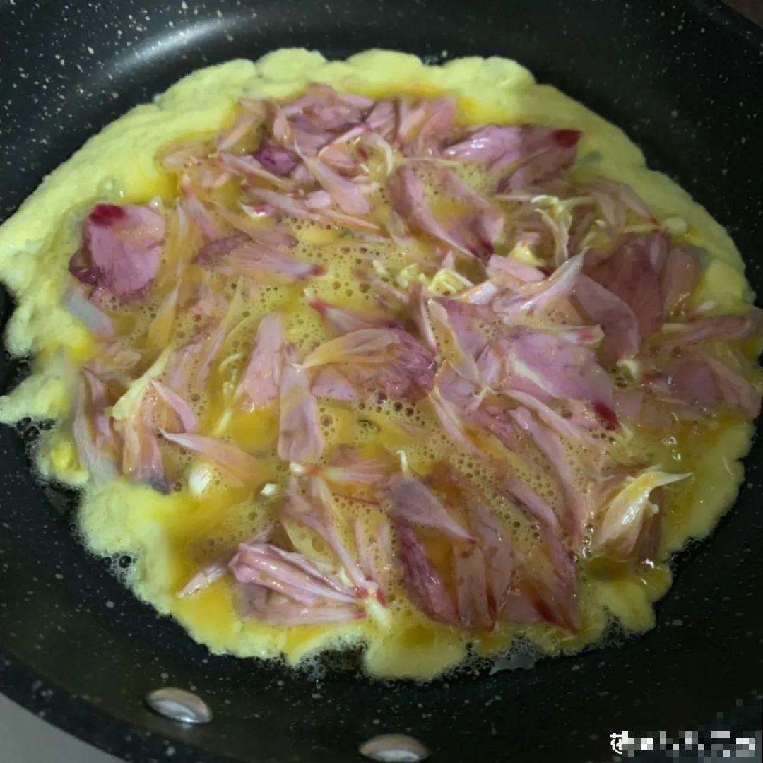 香飘飘的花,吃一口满嘴花香,再不吃就没了 香飘飘的花,吃一口满嘴花香,再不吃就没了