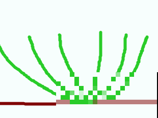 花园“三剑客”，可不太好养，能养好的都是高手