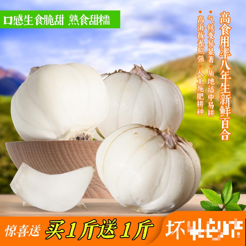 4种花可食用百合，煲汤做菜做甜品，花朵也艳丽多彩