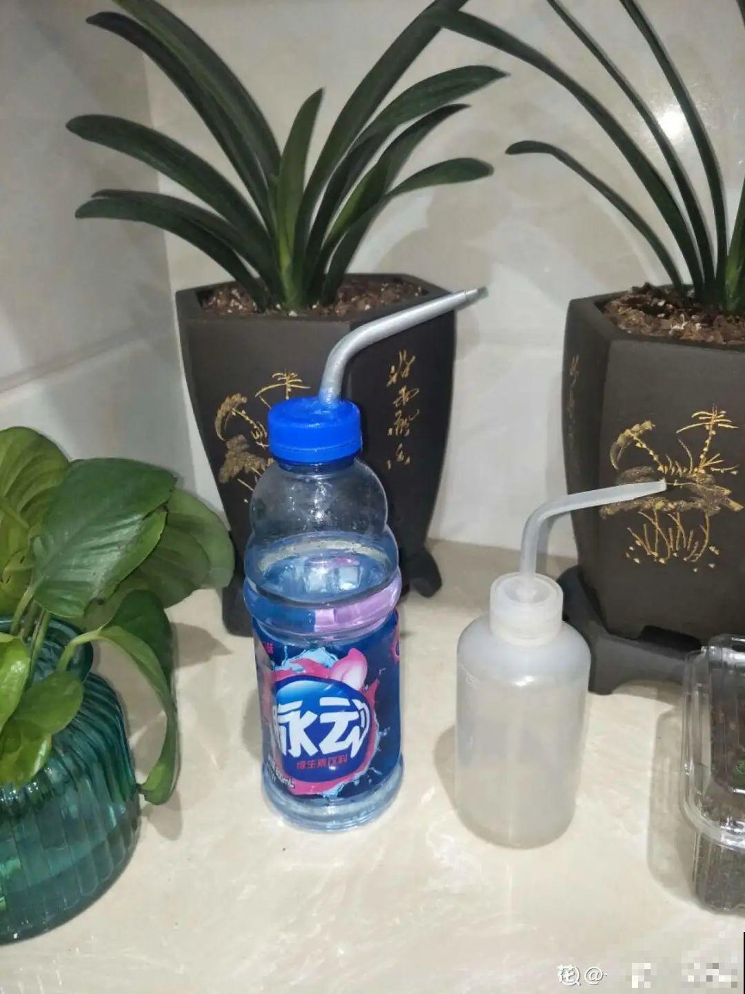 养多肉不用买花盆,只需一些水泥,自己就能DIY做花盆 养多肉不用买花盆,只需一些水泥,自己就能DIY做花盆