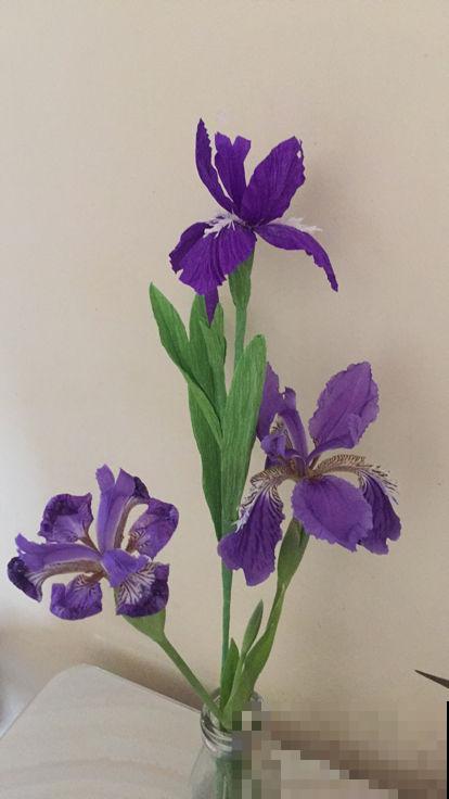 院子里撒一把种子,只需种一年,以后年年开花 院子里撒一把种子,只需种一年,以后年年开花