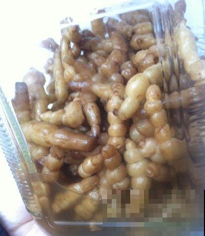 地里挖出一把块茎，长得像是白蚕，脆脆的特好