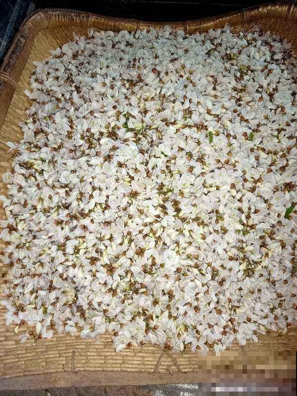 5月初长势超旺的野菜，山上溜达一圈，能摘好几袋子