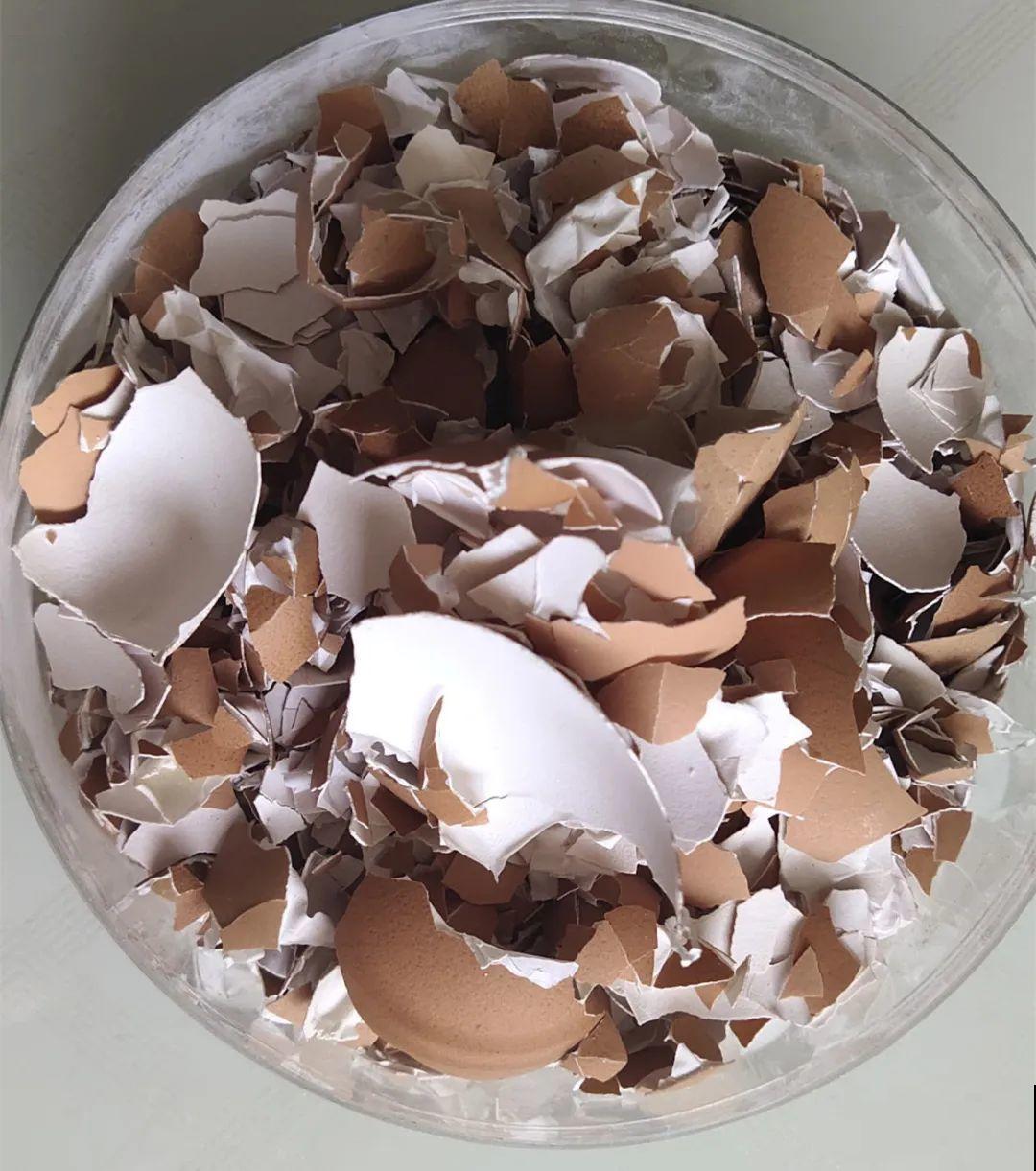 养多肉不用买花盆,只需一些水泥,自己就能DIY做花盆 养多肉不用买花盆,只需一些水泥,自己就能DIY做花盆