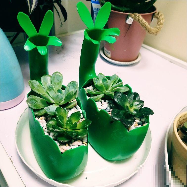 养花人的“抠”,家里东西不敢扔,拿来养花最合适 养花人的“抠”,家里东西不敢扔,拿来养花最合适