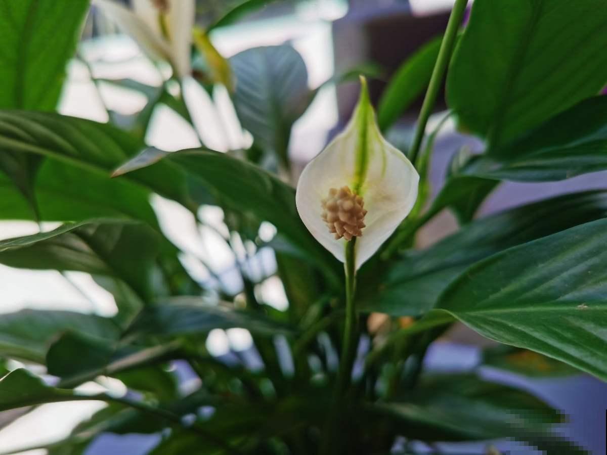 南方的“回南天”到了,室内湿度太大了,得赶紧除湿 南方的“回南天”到了,室内湿度太大了,得赶紧除湿