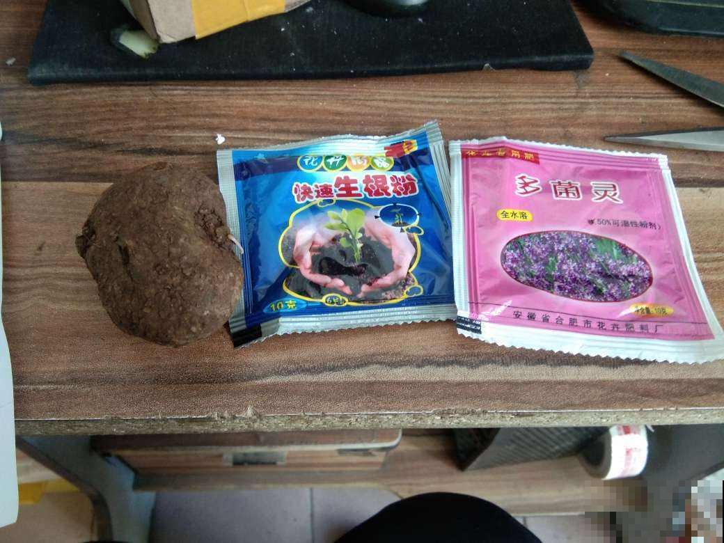 春天给花换土，4种消毒方法要记牢，不然影响植物生长