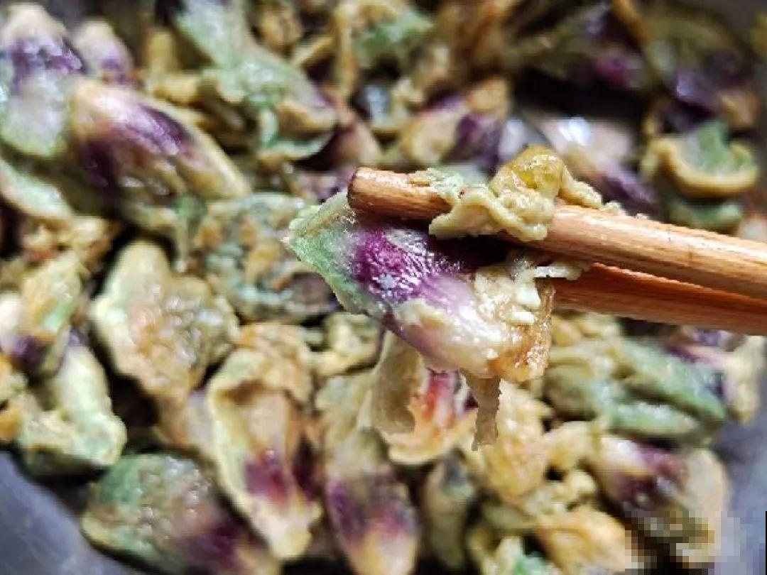 香飘飘的花,吃一口满嘴花香,再不吃就没了 香飘飘的花,吃一口满嘴花香,再不吃就没了