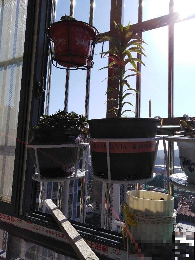 南方的“回南天”到了，室内湿度太大了，得赶紧除湿