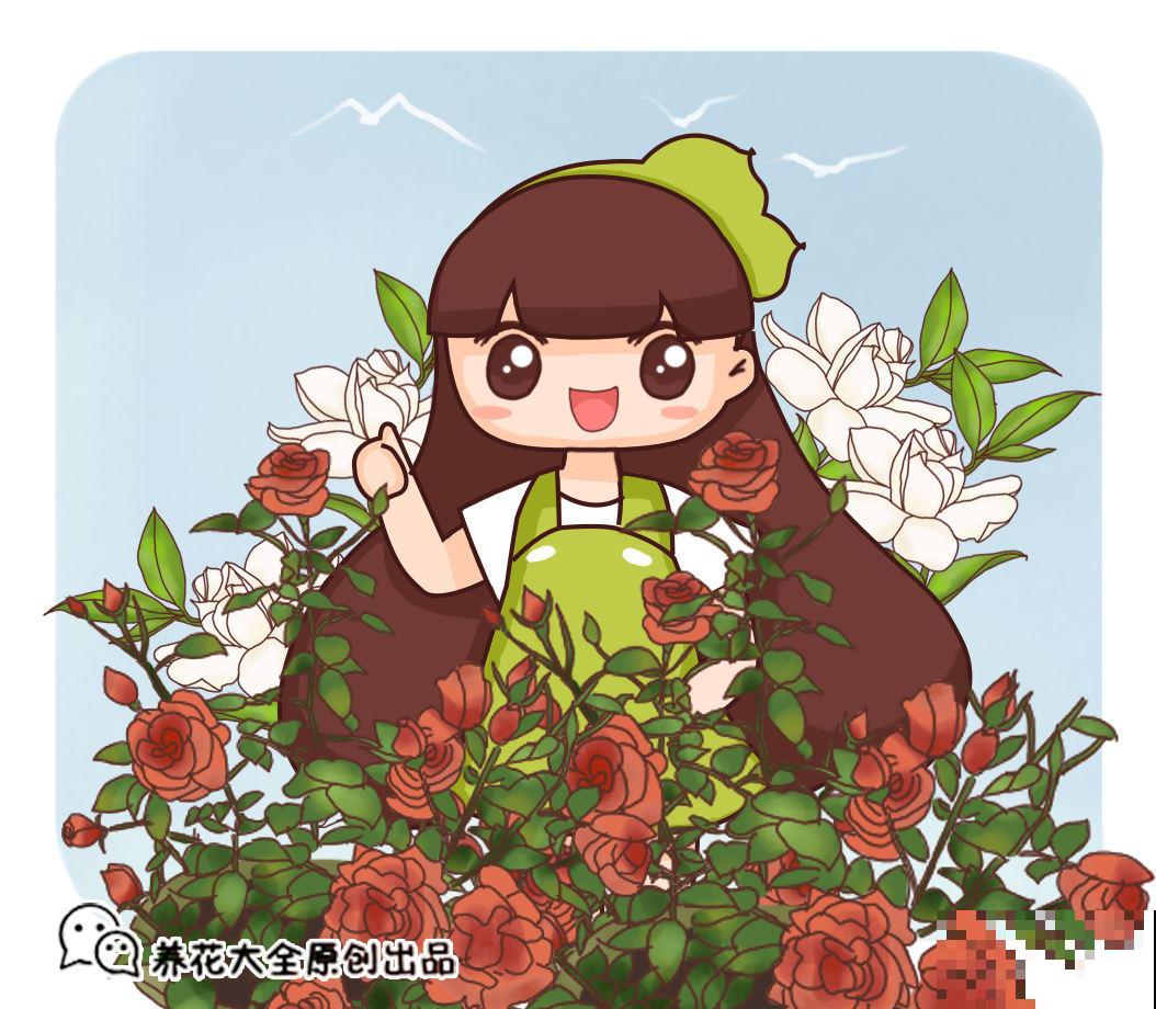 夏天养花不好养，那是你没见过这4种，一碰土就能活！