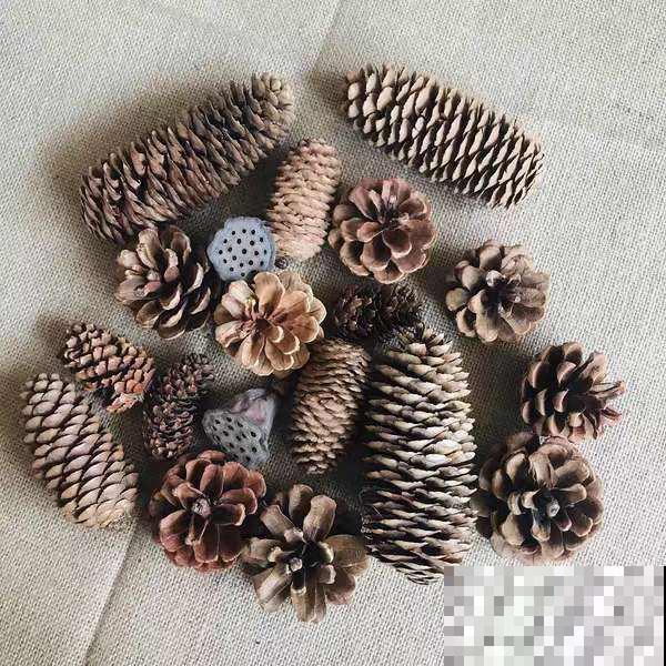 春天的野外,真是惊喜多多,花和土壤一样都不少 春天的野外,真是惊喜多多,花和土壤一样都不少