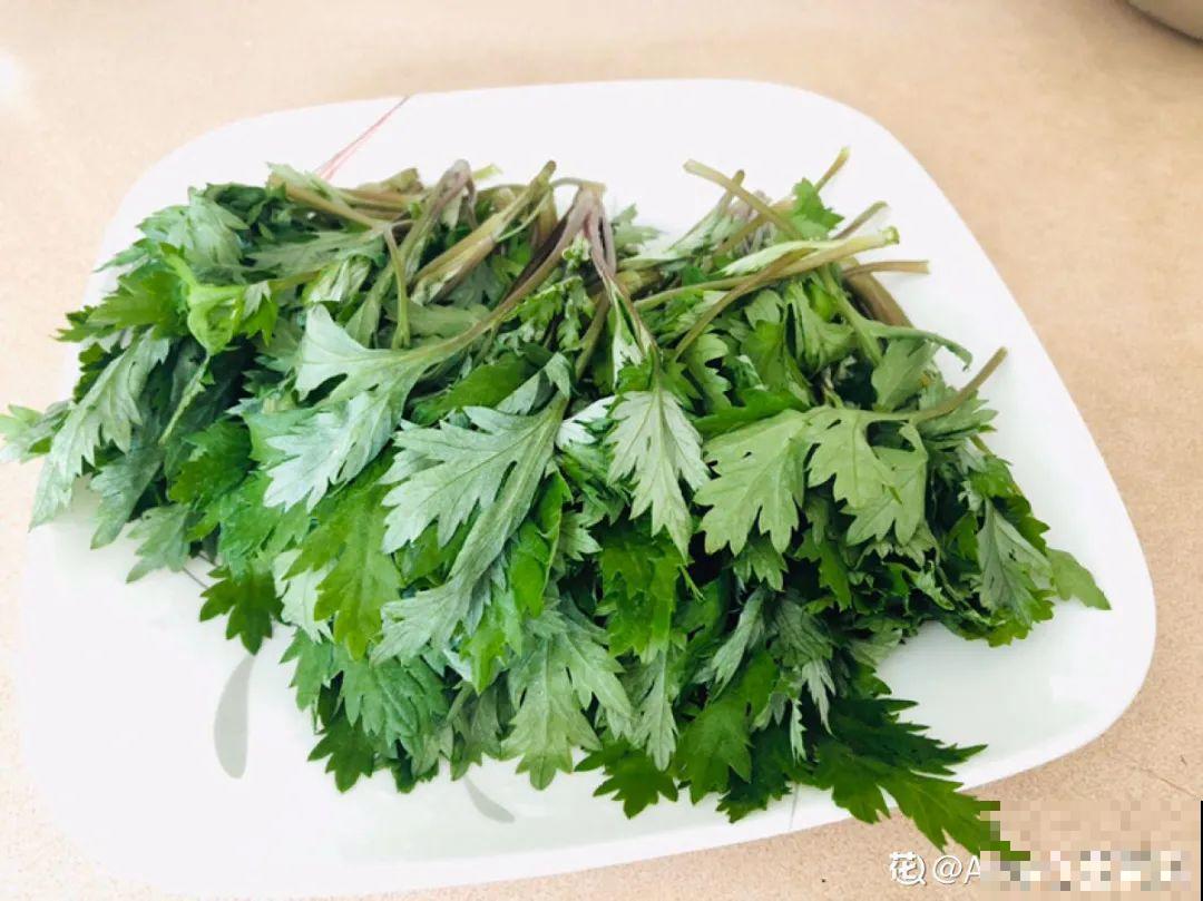 春天的野菜大全,小心辨认,千万别挖错了 春天的野菜大全,小心辨认,千万别挖错了