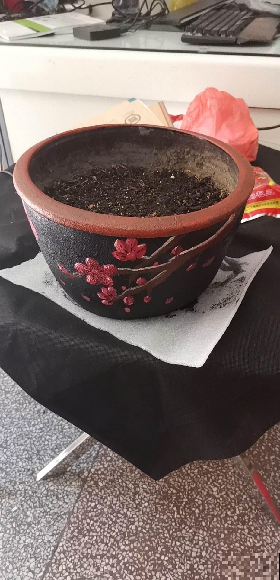 花盆的作用大多数人都忽视了，现在选好了，养花特省事！