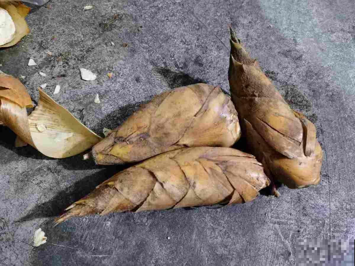 天生爱淋雨的花,越淋雨长得越快,赶紧搬出屋去 天生爱淋雨的花,越淋雨长得越快,赶紧搬出屋去