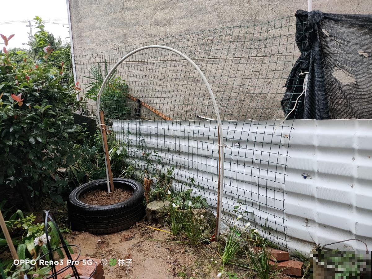 邻居的院子里放了4样东西，颜值提升不少，还特实用