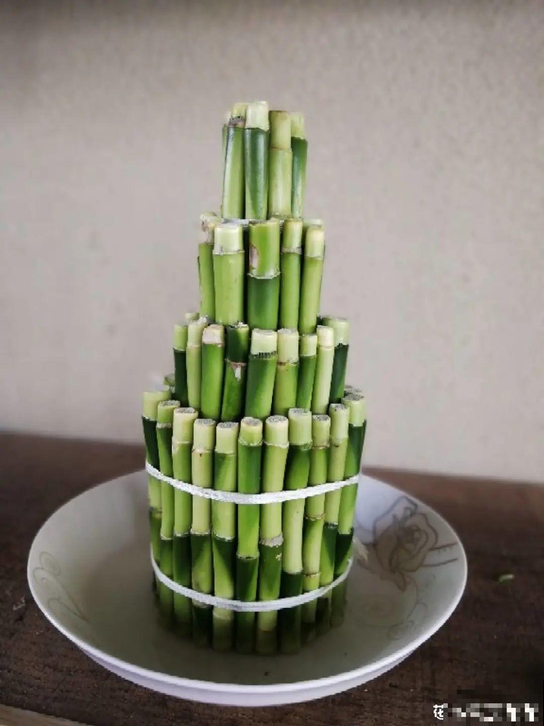 6种花夏天扦插,枝条剁8段、撒土里,3岁小孩都能插活! 6种花夏天扦插,枝条剁8段、撒土里,3岁小孩都能插活!