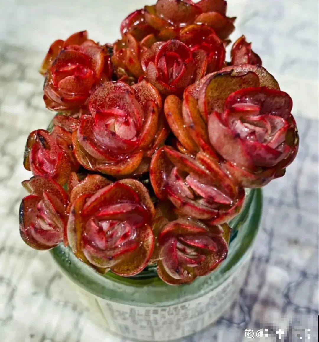 半死不活的花,扔水里,突然长疯了 半死不活的花,扔水里,突然长疯了